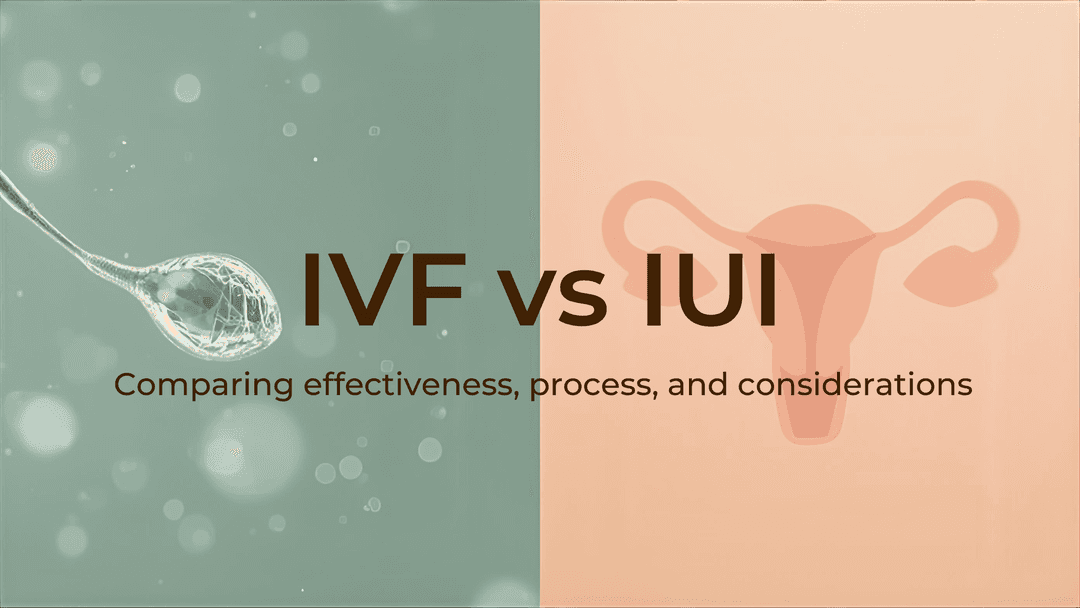 IUI vs IVF: Success Rates, Costs & Key Differences